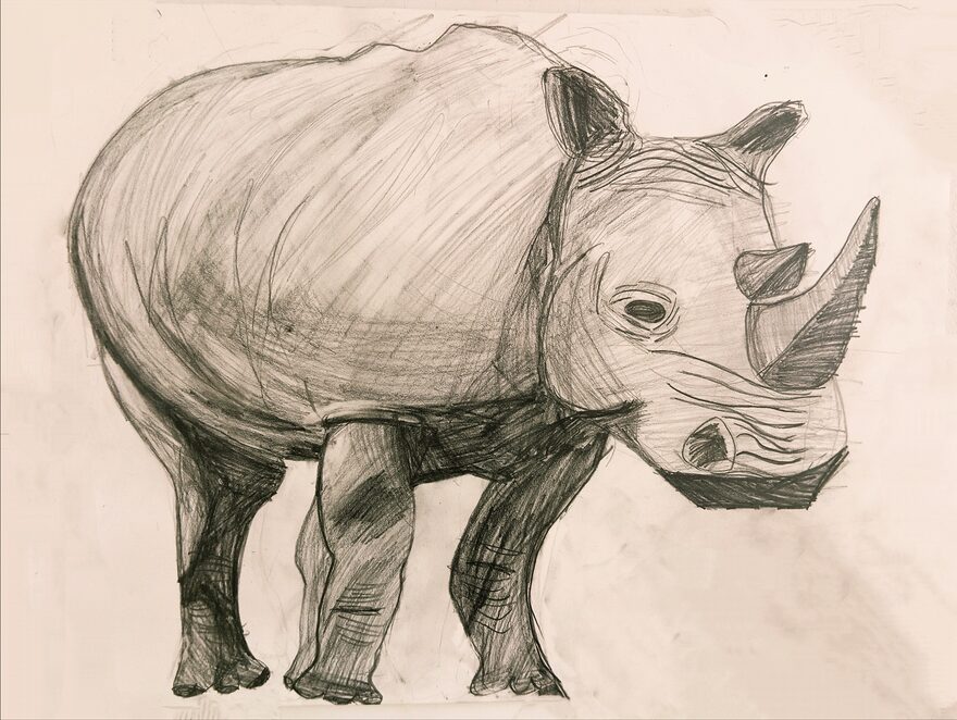 Всероссийский творческий конкурс «В мире животных»  - детский рисунок, поделка, творческая работа, категория школьники, 4 класс, дистанционный конкурс, школьный конкурс