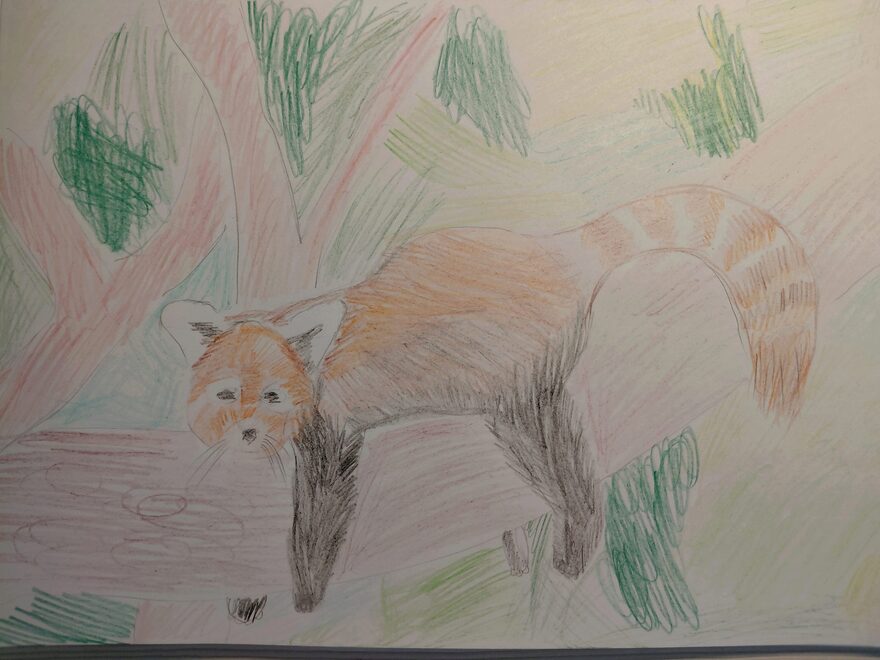 Всероссийский творческий конкурс «В мире животных»  - детский рисунок, поделка, творческая работа, категория школьники, 2 класс, дистанционный конкурс, школьный конкурс