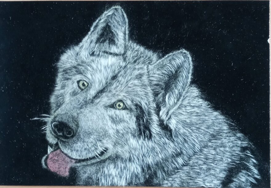 Всероссийский творческий конкурс «В мире животных»  - детский рисунок, поделка, творческая работа, категория школьники, 7 класс, дистанционный конкурс, школьный конкурс