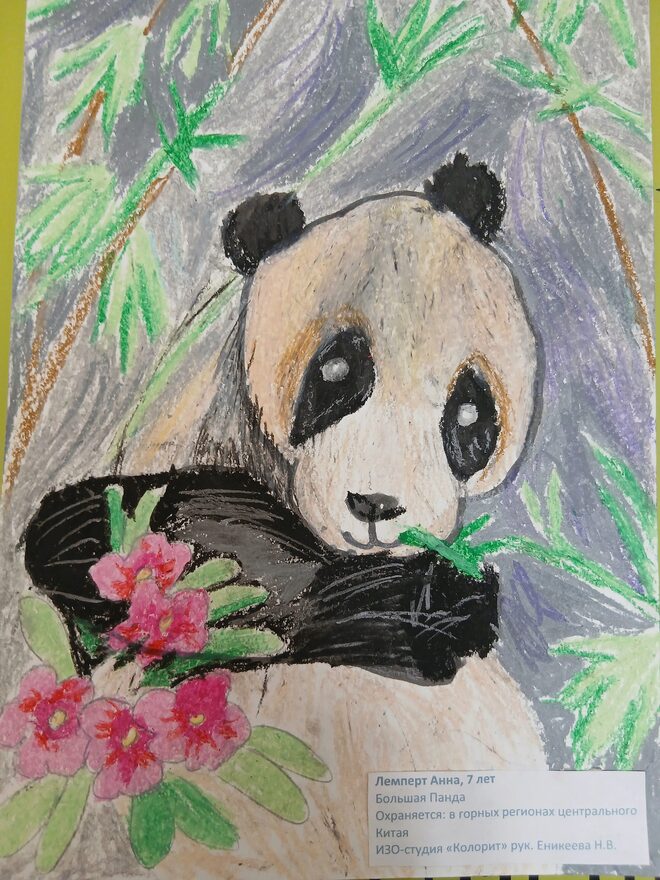 Всероссийский творческий конкурс «В мире животных»  - детский рисунок, поделка, творческая работа, категория школьники, 2 класс, дистанционный конкурс, школьный конкурс