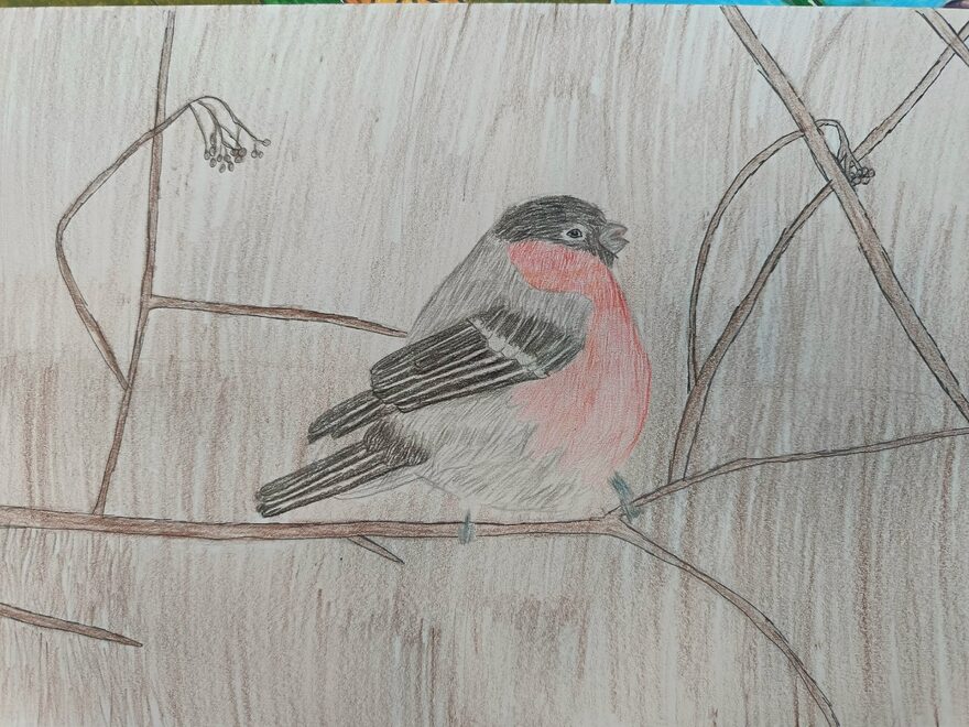 Всероссийский творческий конкурс «В мире животных»  - детский рисунок, поделка, творческая работа, категория школьники, 4 класс, дистанционный конкурс, школьный конкурс