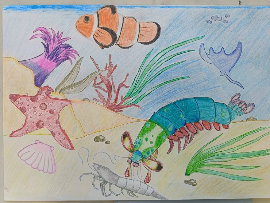 Всероссийский творческий конкурс «В мире животных»  - детский рисунок, поделка, творческая работа, категория школьники, 4 класс, дистанционный конкурс, школьный конкурс