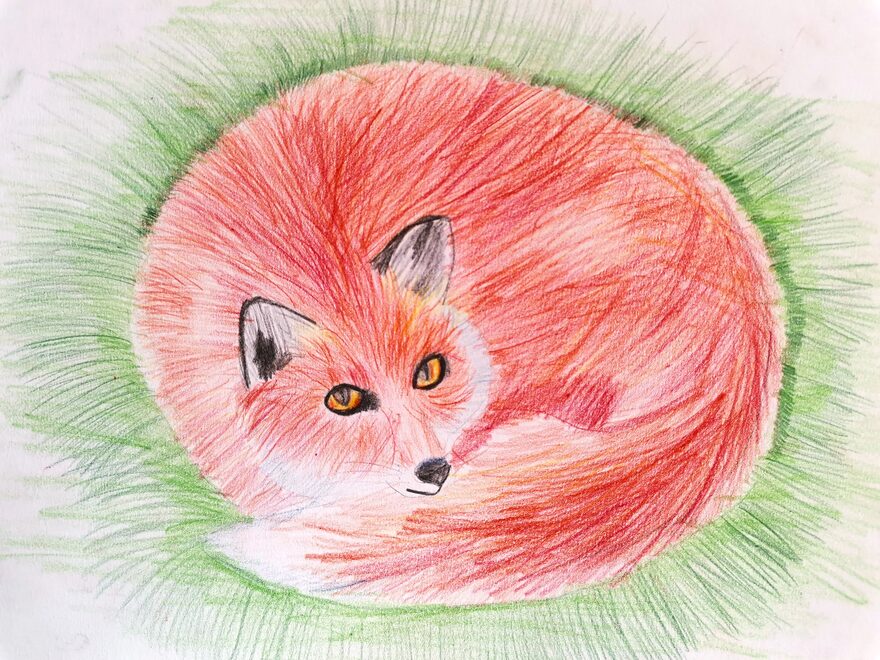 Всероссийский творческий конкурс «В мире животных»  - детский рисунок, поделка, творческая работа, категория школьники, 4 класс, дистанционный конкурс, школьный конкурс