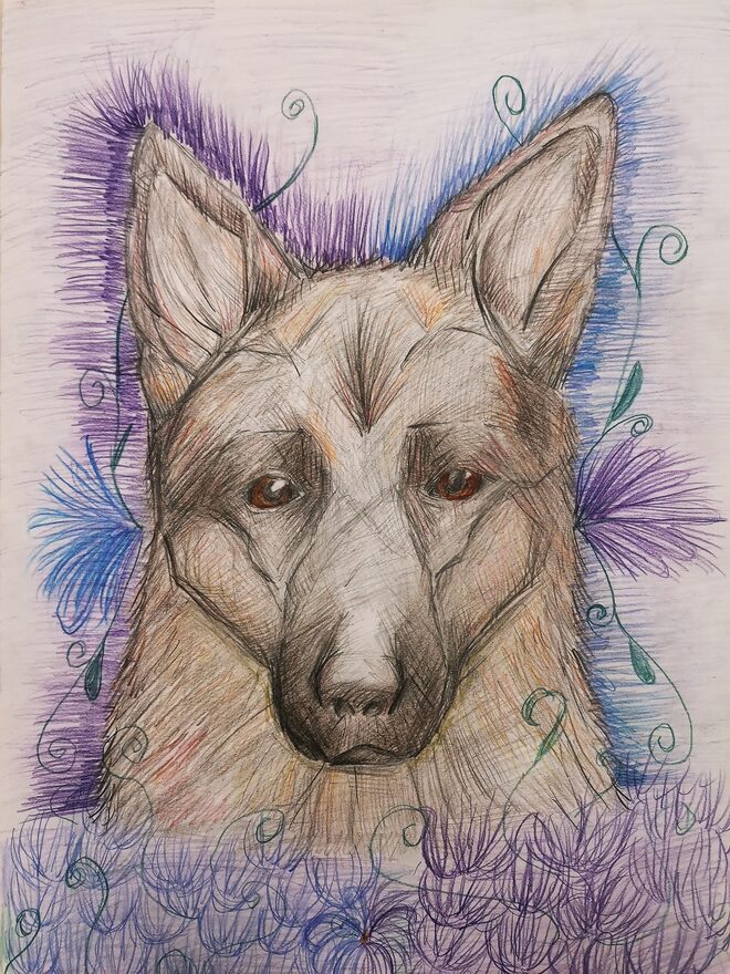 Всероссийский творческий конкурс «В мире животных»  - детский рисунок, поделка, творческая работа, категория школьники, 4 класс, дистанционный конкурс, школьный конкурс