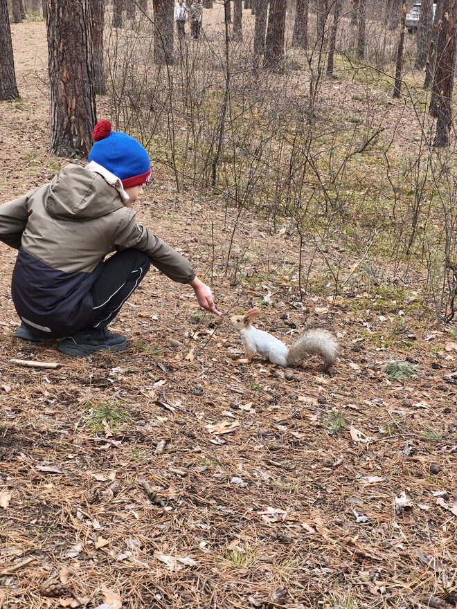 Всероссийский творческий конкурс «Красавица весна»  - детский рисунок, поделка, творческая работа, категория школьники, 2 класс, дистанционный конкурс, школьный конкурс