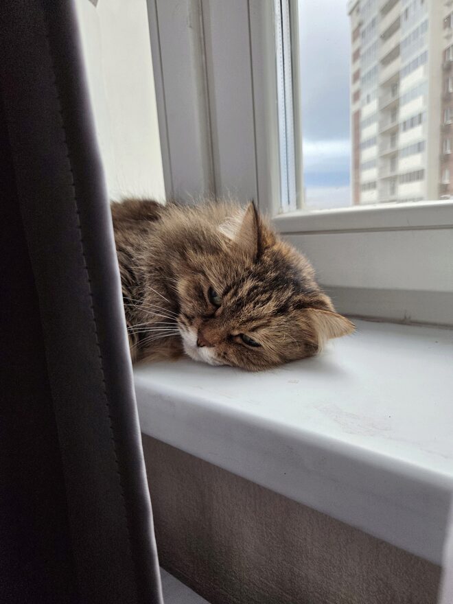 Всероссийский творческий конкурс «Мой четвероногий друг»  - детский рисунок, поделка, творческая работа, категория школьники, 1 класс, дистанционный конкурс, школьный конкурс