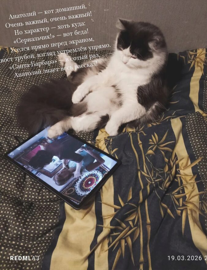 Всероссийский творческий конкурс «Мой четвероногий друг»  - детский рисунок, поделка, творческая работа, категория школьники, 2 класс, дистанционный конкурс, школьный конкурс