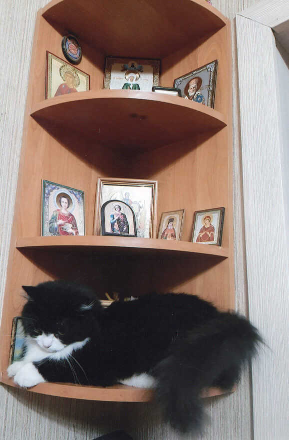 Всероссийский творческий конкурс «Мой четвероногий друг»  - детский рисунок, поделка, творческая работа, категория школьники, 9 класс, дистанционный конкурс, школьный конкурс