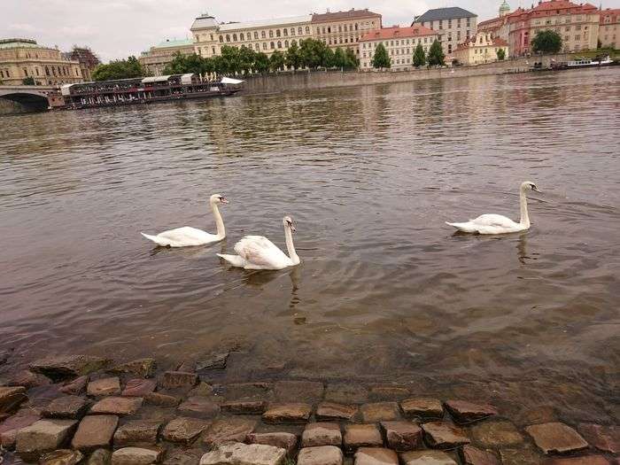 Всероссийский фотоконкурс «Остановись, лето!»  - детский рисунок, поделка, творческая работа, категория школьники, 5 класс, дистанционный конкурс, школьный конкурс