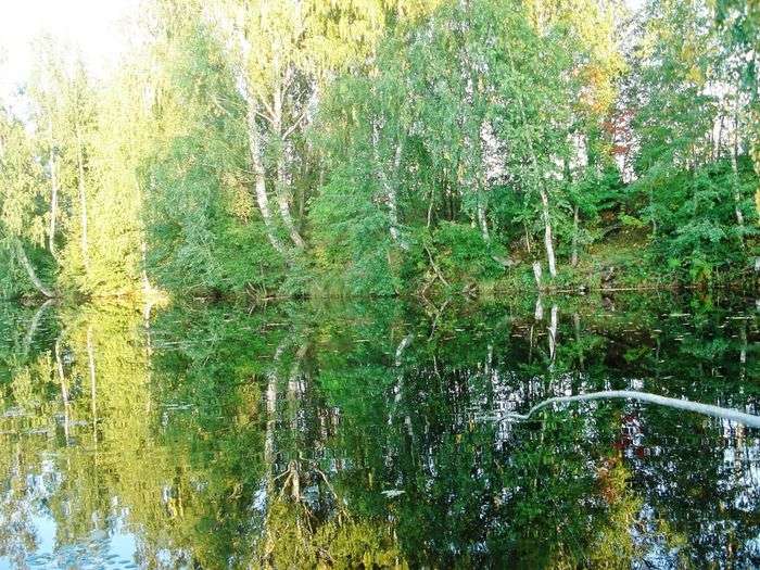 Всероссийский фотоконкурс «Остановись, лето!»  - детский рисунок, поделка, творческая работа, категория школьники, 1 класс, дистанционный конкурс, школьный конкурс