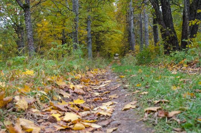 Всероссийский фотоконкурс «Остановись, лето!»  - детский рисунок, поделка, творческая работа, категория школьники, 1 класс, дистанционный конкурс, школьный конкурс