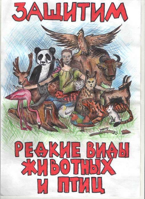 Всероссийский конкурс плакатов «Защитим редкие виды животных и птиц!»  - детский рисунок, поделка, творческая работа, категория школьники, 10 класс, дистанционный конкурс, школьный конкурс