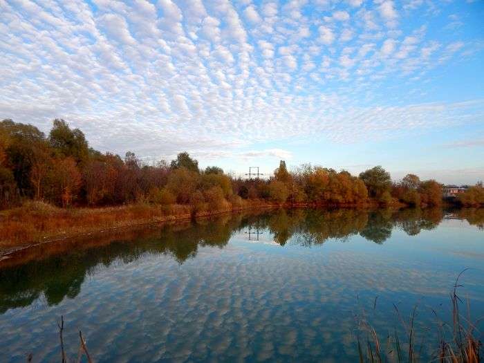 Всероссийский фотоконкурс «Отражения»  - детский рисунок, поделка, творческая работа, категория школьники, 9 класс, дистанционный конкурс, школьный конкурс