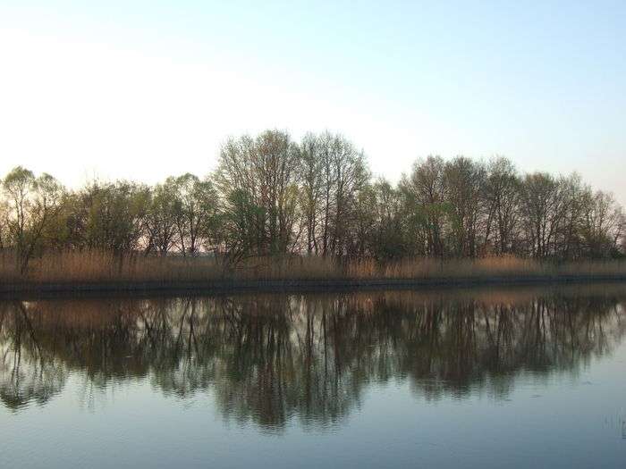 Всероссийский фотоконкурс «Отражения»  - детский рисунок, поделка, творческая работа, категория школьники, 8 класс, дистанционный конкурс, школьный конкурс