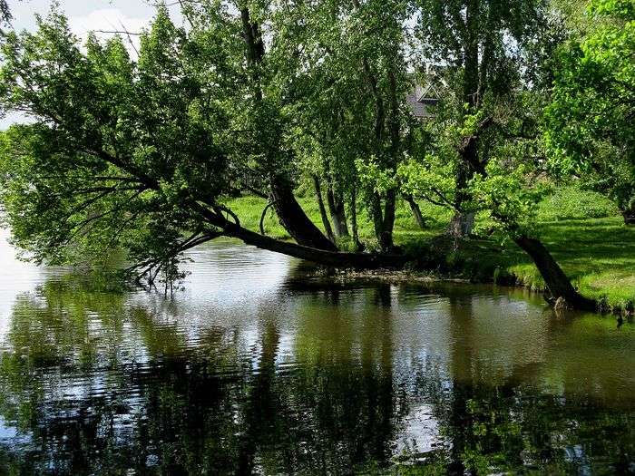 Всероссийский фотоконкурс «Отражения»  - детский рисунок, поделка, творческая работа, категория школьники, 2 класс, дистанционный конкурс, школьный конкурс