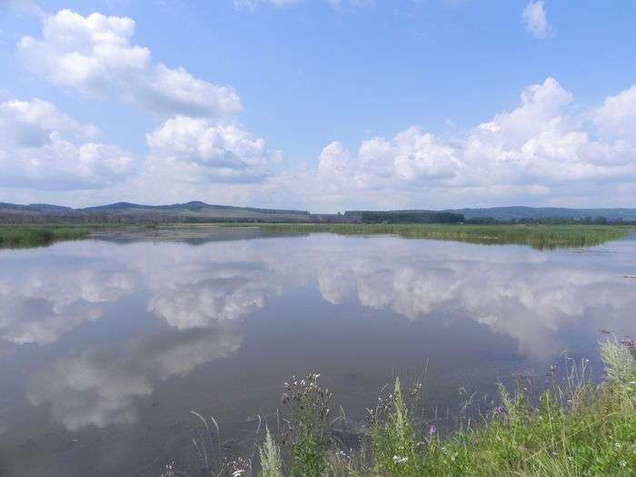 Всероссийский фотоконкурс «Отражения»  - детский рисунок, поделка, творческая работа, категория школьники, 2 класс, дистанционный конкурс, школьный конкурс