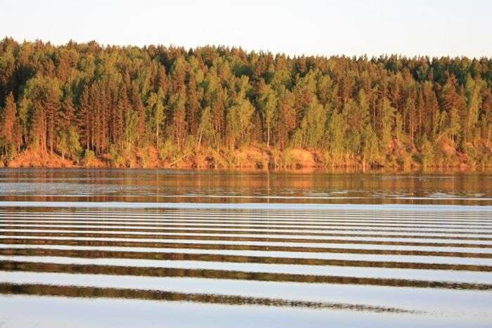 Всероссийский фотоконкурс «Отражения»  - детский рисунок, поделка, творческая работа, категория взрослые, дистанционный конкурс, школьный конкурс