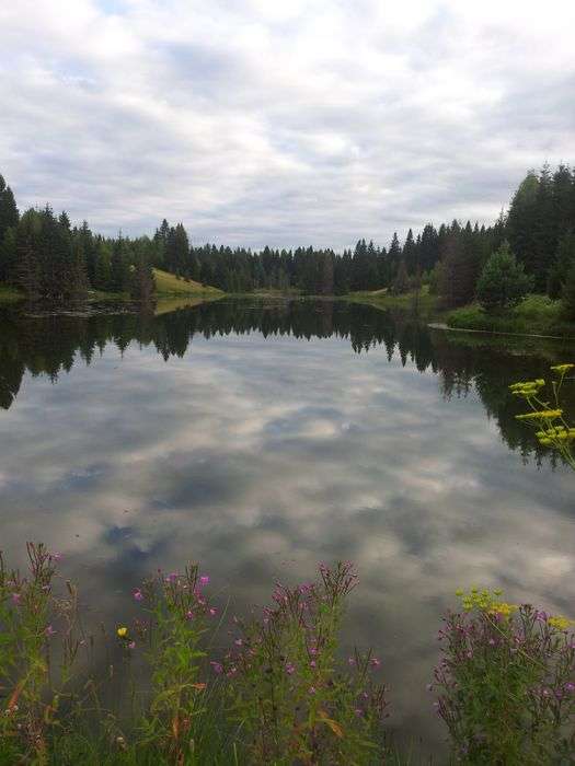 Всероссийский фотоконкурс «Отражения»  - детский рисунок, поделка, творческая работа, категория школьники, 5 класс, дистанционный конкурс, школьный конкурс