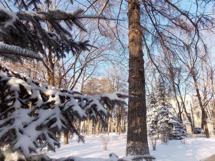 Всероссийский фотоконкурс «Новогоднее настроение»  - детский рисунок, поделка, творческая работа, категория взрослые, дистанционный конкурс, школьный конкурс