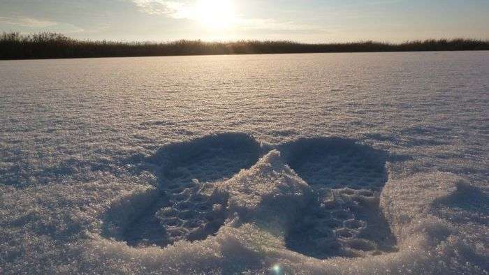 Всероссийский фотоконкурс «Новогоднее настроение»  - детский рисунок, поделка, творческая работа, категория взрослые, дистанционный конкурс, школьный конкурс