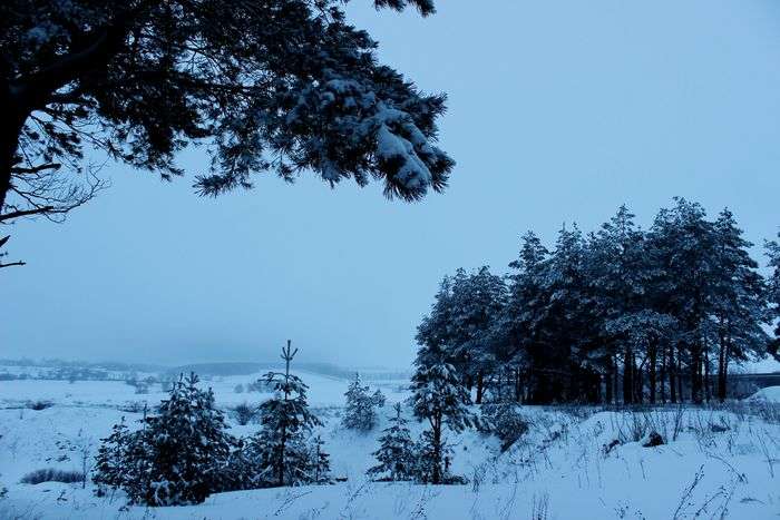 Всероссийский фотоконкурс «Новогоднее настроение»  - детский рисунок, поделка, творческая работа, категория школьники, 7 класс, дистанционный конкурс, школьный конкурс