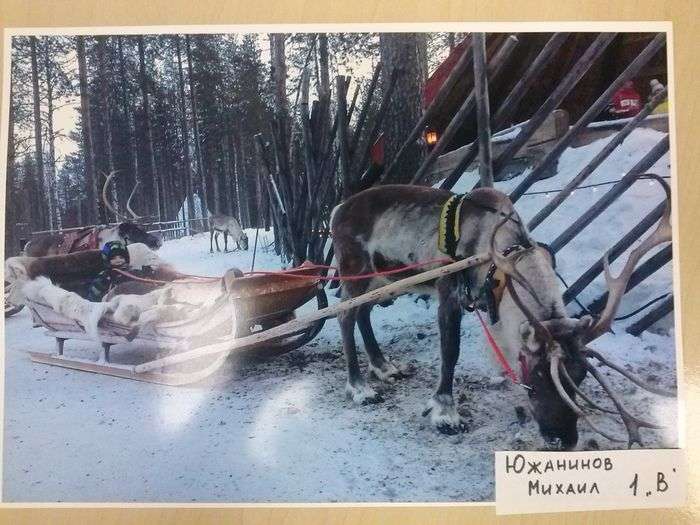 Всероссийский фотоконкурс «Новогоднее настроение»  - детский рисунок, поделка, творческая работа, категория школьники, 1 класс, дистанционный конкурс, школьный конкурс