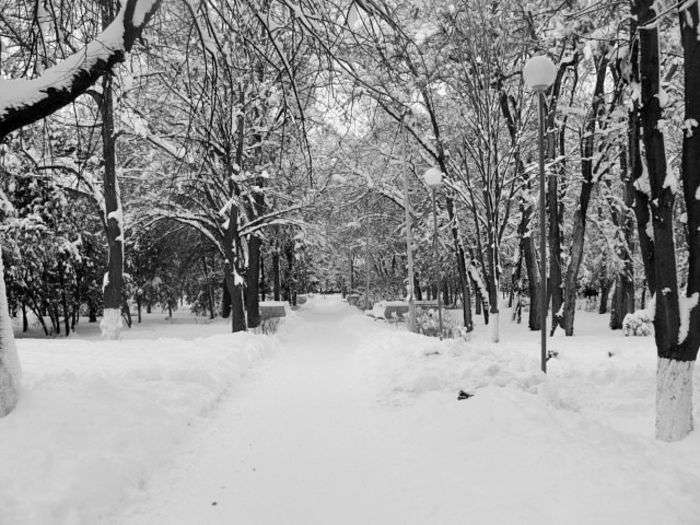 Всероссийский фотоконкурс «Чёрное и белое»  - детский рисунок, поделка, творческая работа, категория дошкольники, детский сад, дистанционный конкурс, школьный конкурс