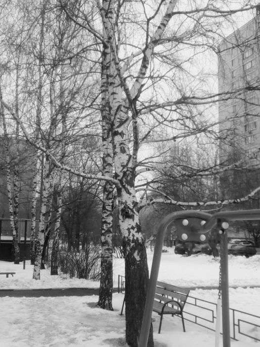 Всероссийский фотоконкурс «Чёрное и белое»  - детский рисунок, поделка, творческая работа, категория дошкольники, детский сад, дистанционный конкурс, школьный конкурс