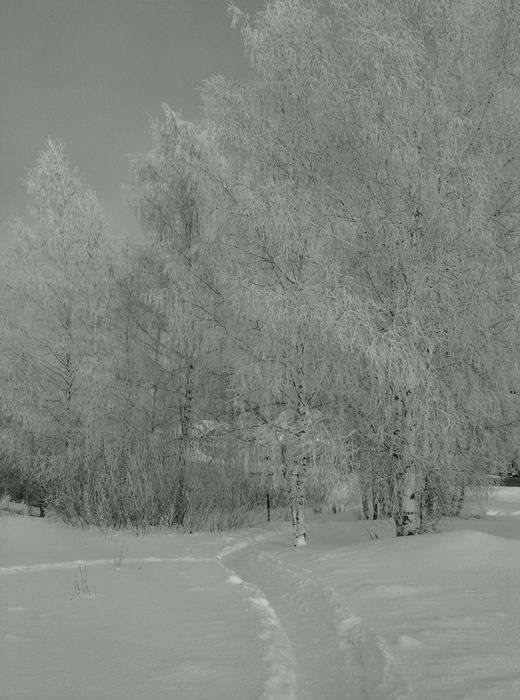 Всероссийский фотоконкурс «Чёрное и белое»  - детский рисунок, поделка, творческая работа, категория школьники, 2 класс, дистанционный конкурс, школьный конкурс