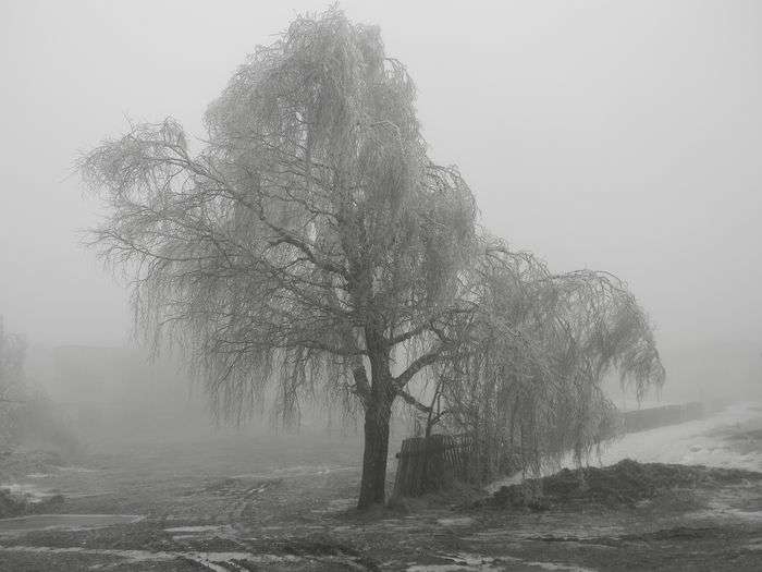 Всероссийский фотоконкурс «Чёрное и белое»  - детский рисунок, поделка, творческая работа, категория взрослые, дистанционный конкурс, школьный конкурс