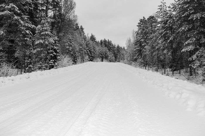 Всероссийский фотоконкурс «Чёрное и белое»  - детский рисунок, поделка, творческая работа, категория школьники, 2 класс, дистанционный конкурс, школьный конкурс