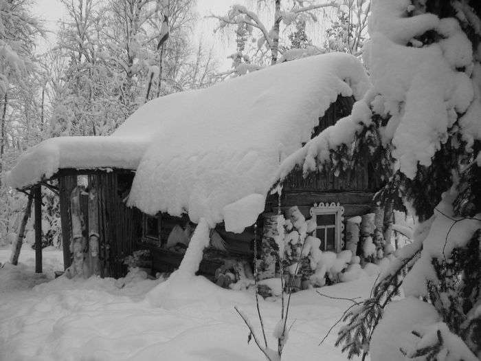 Всероссийский фотоконкурс «Чёрное и белое»  - детский рисунок, поделка, творческая работа, категория взрослые, дистанционный конкурс, школьный конкурс