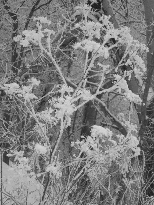 Всероссийский фотоконкурс «Чёрное и белое»  - детский рисунок, поделка, творческая работа, категория школьники, 1 класс, дистанционный конкурс, школьный конкурс