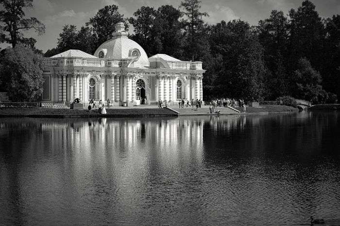 Всероссийский фотоконкурс «Чёрное и белое»  - детский рисунок, поделка, творческая работа, категория взрослые, дистанционный конкурс, школьный конкурс