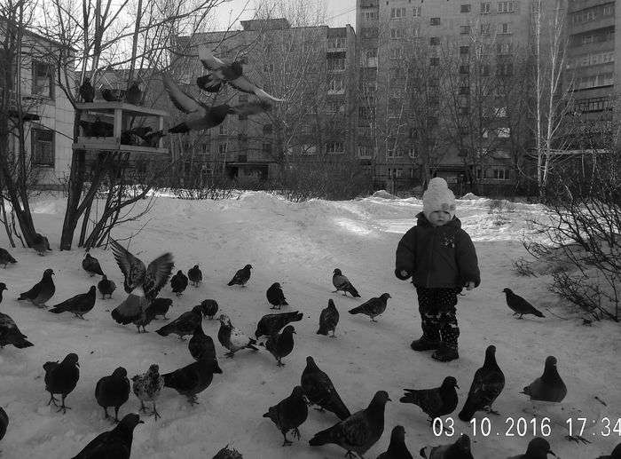 Всероссийский фотоконкурс «Чёрное и белое»  - детский рисунок, поделка, творческая работа, категория взрослые, дистанционный конкурс, школьный конкурс