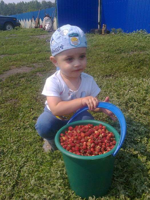 Всероссийский творческий конкурс «В гостях у лета»  - детский рисунок, поделка, творческая работа, категория дошкольники, детский сад, дистанционный конкурс, школьный конкурс