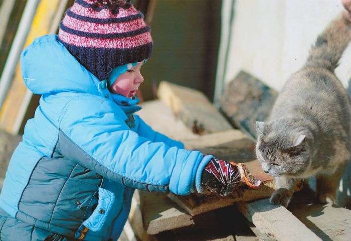 Всероссийский творческий конкурс «Любимый питомец»  - детский рисунок, поделка, творческая работа, категория дошкольники, детский сад, дистанционный конкурс, школьный конкурс