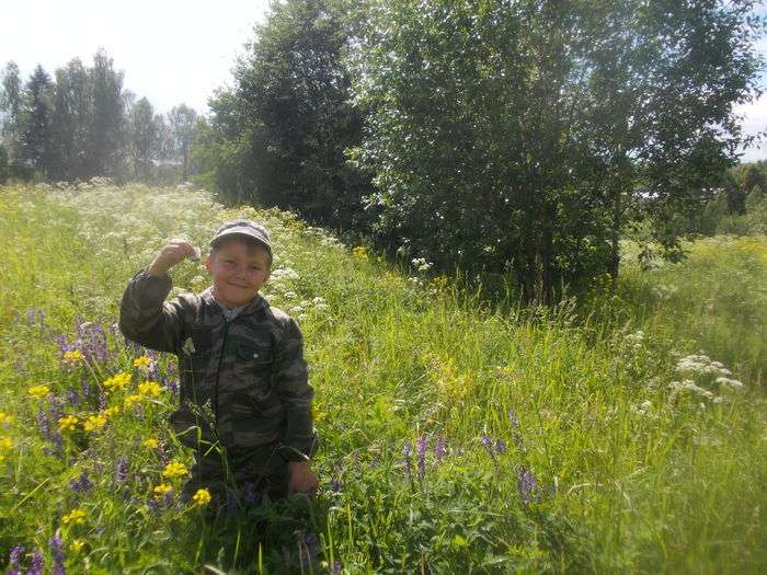 Всероссийский творческий конкурс «Лучше нет родного края»  - детский рисунок, поделка, творческая работа, категория школьники, 5 класс, дистанционный конкурс, школьный конкурс