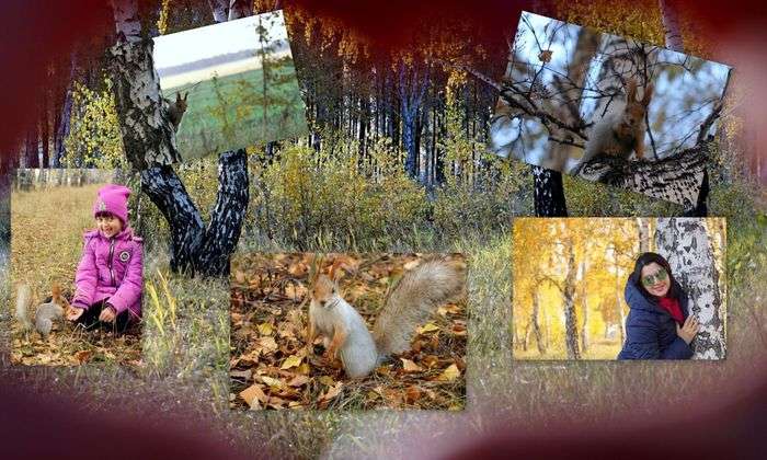 Всероссийский творческий конкурс «Осенняя симфония»  - детский рисунок, поделка, творческая работа, категория школьники, 1 класс, дистанционный конкурс, школьный конкурс