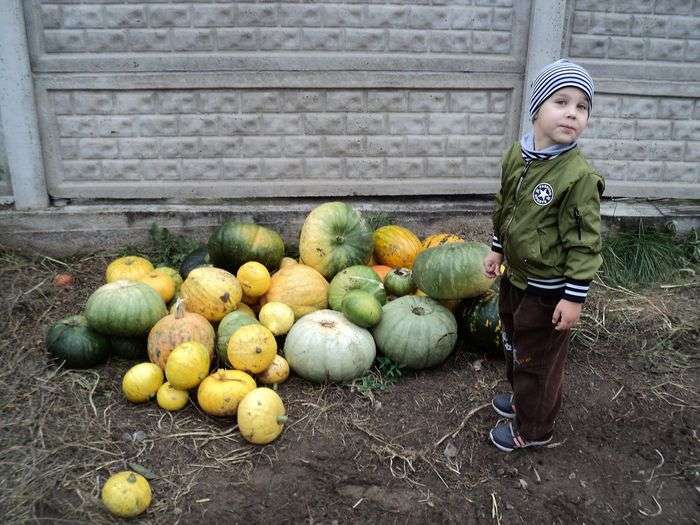 Всероссийский творческий конкурс «Овощи, ягоды и фрукты – витаминные продукты»  - детский рисунок, поделка, творческая работа, категория дошкольники, детский сад, дистанционный конкурс, школьный конкурс