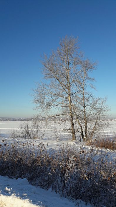 Всероссийский творческий конкурс «Мороз и солнце – день чудесный!»  - детский рисунок, поделка, творческая работа, категория школьники, 2 класс, дистанционный конкурс, школьный конкурс