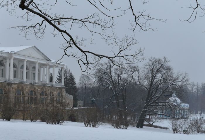 Всероссийский творческий конкурс «Зимний калейдоскоп»  - детский рисунок, поделка, творческая работа, категория взрослые, дистанционный конкурс, школьный конкурс