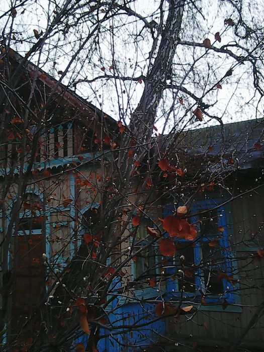 Всероссийский творческий конкурс «Весна – время пробуждения»  - детский рисунок, поделка, творческая работа, категория взрослые, дистанционный конкурс, школьный конкурс