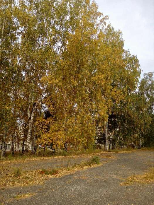 Международный творческий конкурс «Краски осени»  - детский рисунок, поделка, творческая работа, категория дошкольники, детский сад, дистанционный конкурс, школьный конкурс