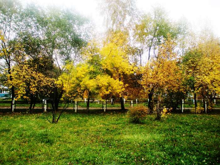 Международный творческий конкурс «Краски осени»  - детский рисунок, поделка, творческая работа, категория взрослые, дистанционный конкурс, школьный конкурс