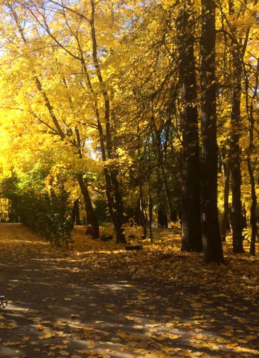 Международный творческий конкурс «Осенняя зарисовка»  - детский рисунок, поделка, творческая работа, категория школьники, 9 класс, дистанционный конкурс, школьный конкурс