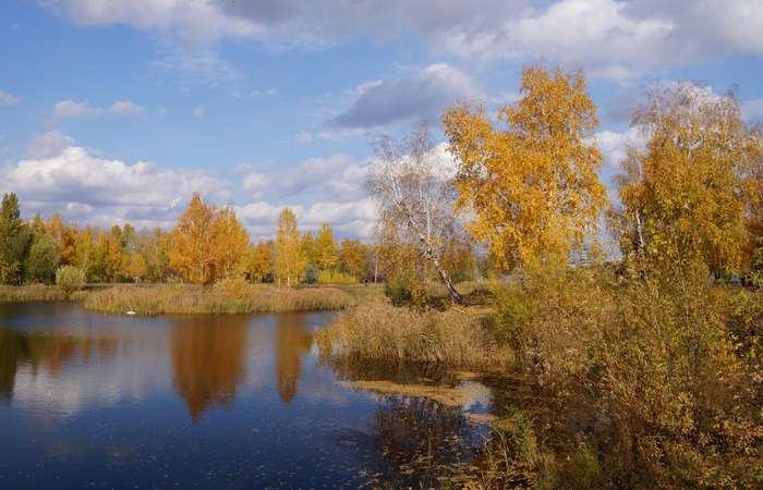 Международный творческий конкурс «Осенняя зарисовка»  - детский рисунок, поделка, творческая работа, категория школьники, 10 класс, дистанционный конкурс, школьный конкурс