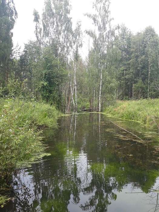 Международный творческий конкурс «Край родной, навек любимый»  - детский рисунок, поделка, творческая работа, категория дошкольники, детский сад, дистанционный конкурс, школьный конкурс