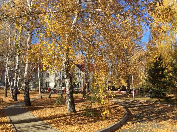 Международный творческий конкурс «Край родной, навек любимый»  - детский рисунок, поделка, творческая работа, категория взрослые, дистанционный конкурс, школьный конкурс