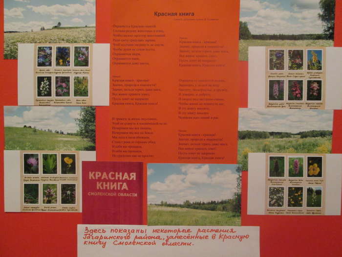 Международный творческий конкурс «Растения и животные Красной книги»  - детский рисунок, поделка, творческая работа, категория взрослые, дистанционный конкурс, школьный конкурс